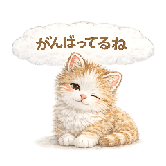 Sotto Soichiro Soft & Comforting Words