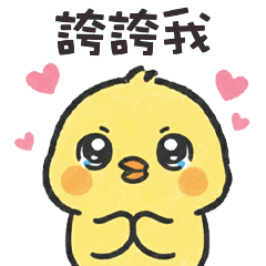 (°д °) 胖胖小雞誇誇我