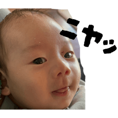 Medjed_20260224173529