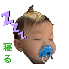 shiori_20260224121400