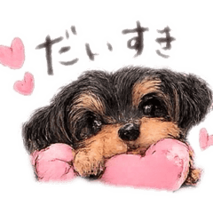 youyouyou_20260224174311