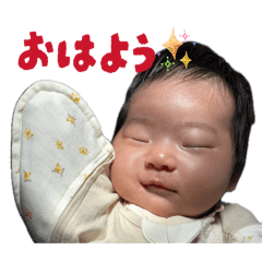 izumi-ma_20260224174138