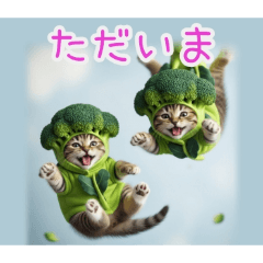 PAKAMOGOLY_20260221231905