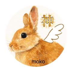 mokohaha_20260224145706