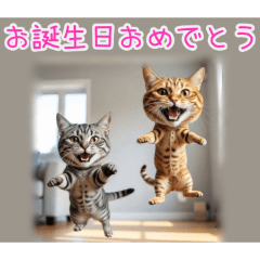 PAKAMOGOLY_20260224145937