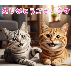 [ありがとうございます専用]顔でかトラ猫