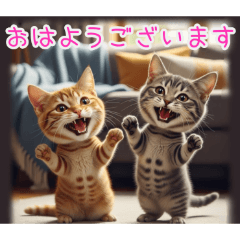 [おはようございます専用]顔でかトラ猫