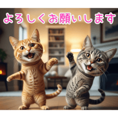 [よろしくお願いします専用]顔でかトラ猫