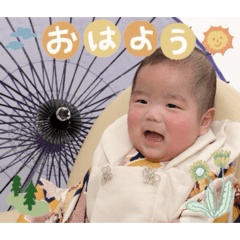 shiio_20260225105827