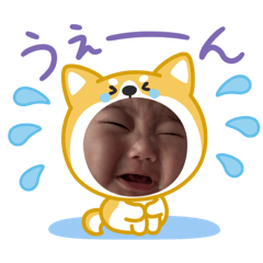 Koko_20260225110532