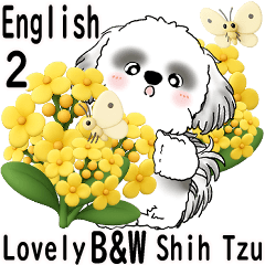 B&W Shih Tzu Daily Expressions 2