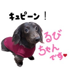 Makoto_20260224151929