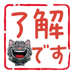 Wiggling American Shorthair  60