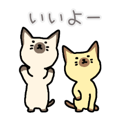 PAKAMOGOLY_20260225075147