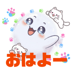 NOLIKO_20260225092035