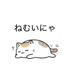 A chill and adorable cat.