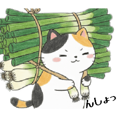 Motiko_20260225091523