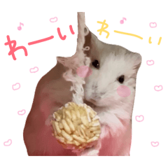 mimigood_20260224162757