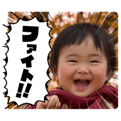 mappi_20260224195911