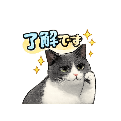 rinya_20260224202917