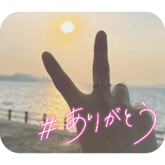 KOT_20260224175905