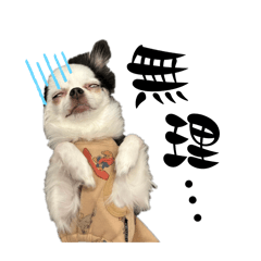 J_20260224205420