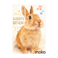 mokohaha_20260224205754