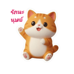 kannpool_20260224185822