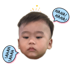 Faylix_20260224190206