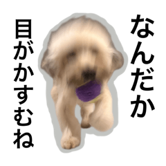 wako1115mama_20260224215120