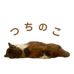 Yuu LINE stickers & emoji | LINE STORE Yuu LINE stickers & emoji | LINE STORE