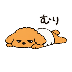 脱力系トイプードルの空