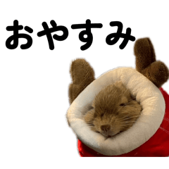 mairudkawauti_20260224230226