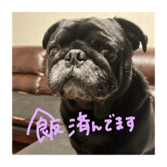 yuzuki_20260224193210