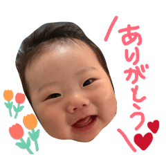 tamaki_20260224232925