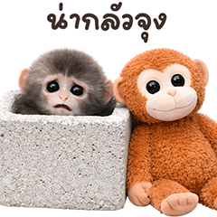 ❤️ลิงคุง ตัวตึง 2❤️