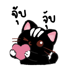 Meaw  101