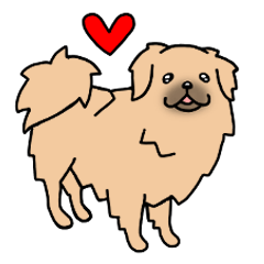 犬種別チベタンスパニエル(英語VER)