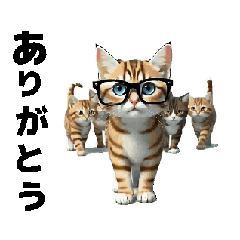 takayo_20260224135931