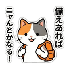 naruru_20260224190958