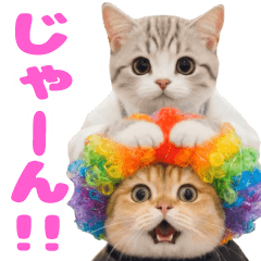 動く！猫のおしごと