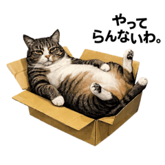 chika-kona_20260224204410