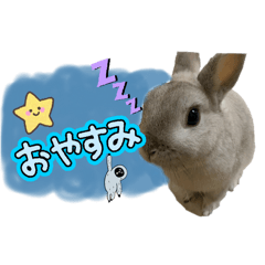 Runa_20260224224101