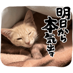 rai.m_20260224223518