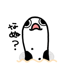 pi____20260224233819