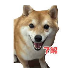 kazunoko_20260224224349