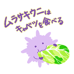 ムラサキウニはキャベツを食べる