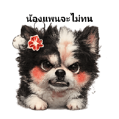 noom nooy_20260224214934