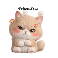 noom nooy_20260224215620