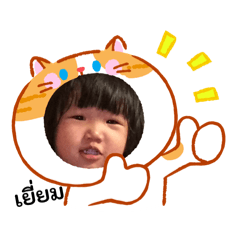 Inin Zx_20260224220756